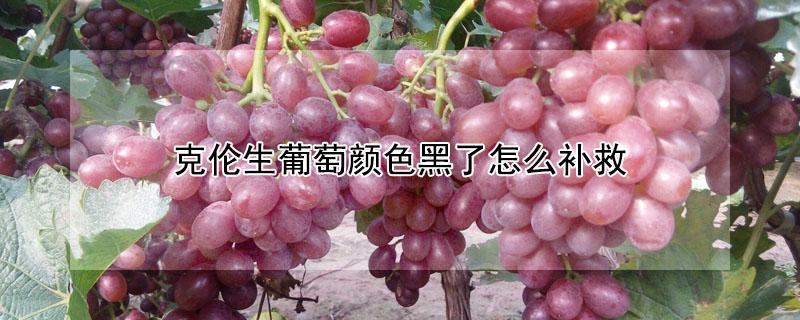 克伦生葡萄颜色黑了怎么补救（克伦生葡萄上色后果发黑怎么办）