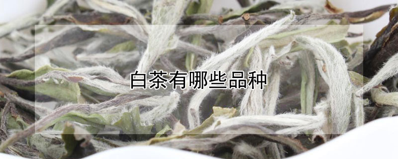 白茶有哪些品种（白茶有哪些品种 前十名）