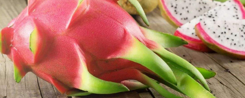 白色火龙果和红色有什么区别（白色火龙果和红色有什么区别外观）
