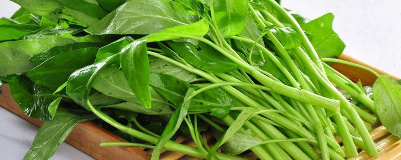 夏季蔬菜种植有哪些品种（夏季蔬菜种植有哪些品种可以生吃）