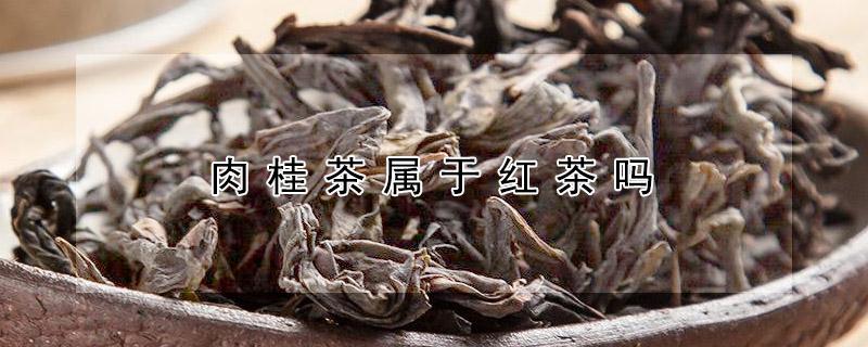 肉桂茶属于红茶吗 肉桂茶属于红茶吗还是绿茶