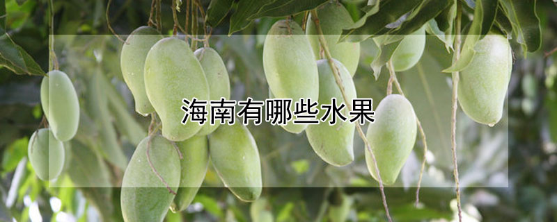 海南有哪些水果（海南有哪些水果加图片大全）