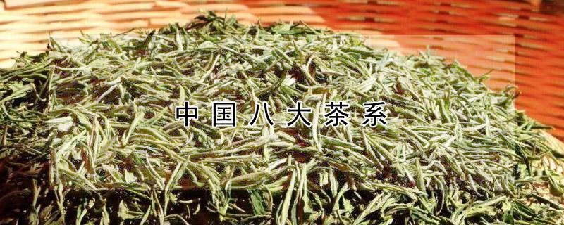 中国八大茶系（中国八大茶系的名茶）