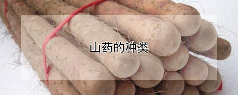 山药的种类（山药的种类有哪些）