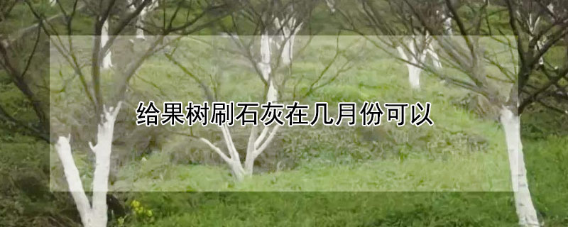 给果树刷石灰在几月份可以 果树刷石灰几月份合适