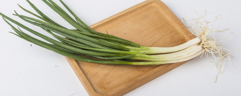 水养葱的正确方法 水养葱的正确方法用自来水行吗