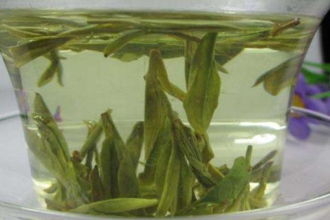 龙井茶产地在哪里