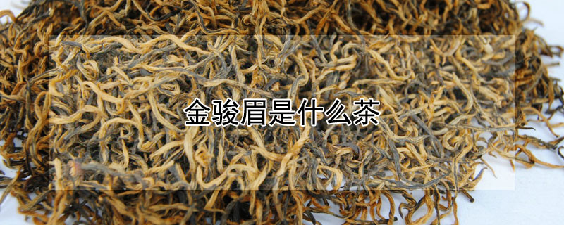 金骏眉是什么茶 金骏眉是什么茶是红茶吗