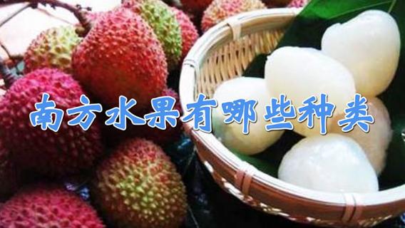 南方水果有哪些种类 南方水果有哪些种类和特点