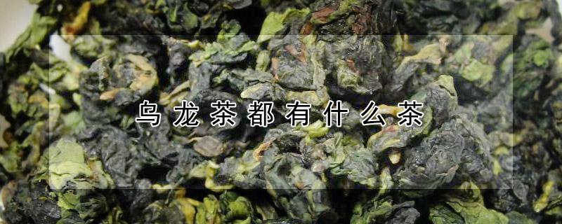 乌龙茶都有什么茶（乌龙茶都有什么茶品牌）