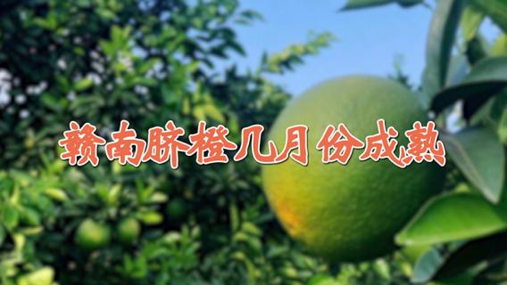 赣南脐橙几月份成熟 赣南脐橙几月份成熟上市