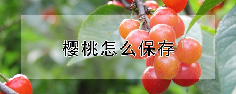 樱桃怎么保存 樱桃怎么保存可以放得更久