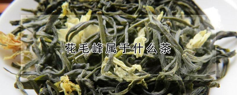 花毛峰属于什么茶（花毛峰和绿毛峰属于什么茶）