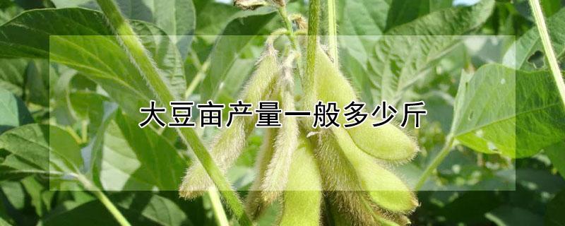 大豆亩产量一般多少斤 黑龙江大豆亩产量一般多少斤