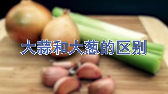 大蒜和大葱的区别 大蒜和大葱的区别在哪里