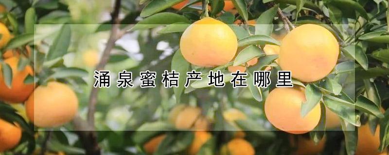 涌泉蜜桔产地在哪里（涌泉蜜桔是哪里的特产）