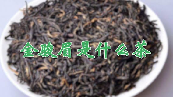 金骏眉是什么茶（金骏眉是什么茶种）