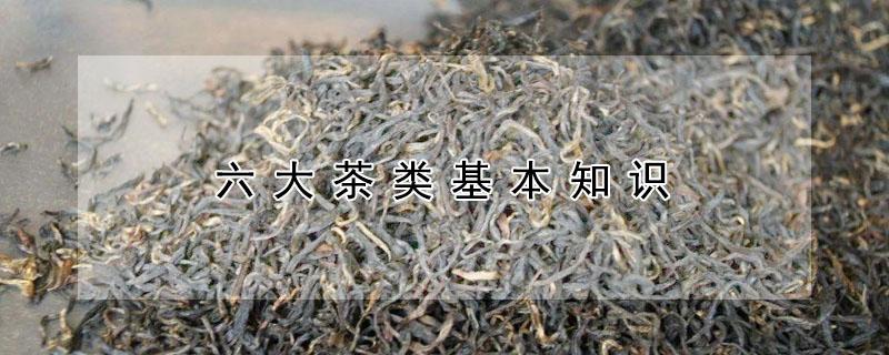 六大茶类基本知识（六大茶类基本知识视频）