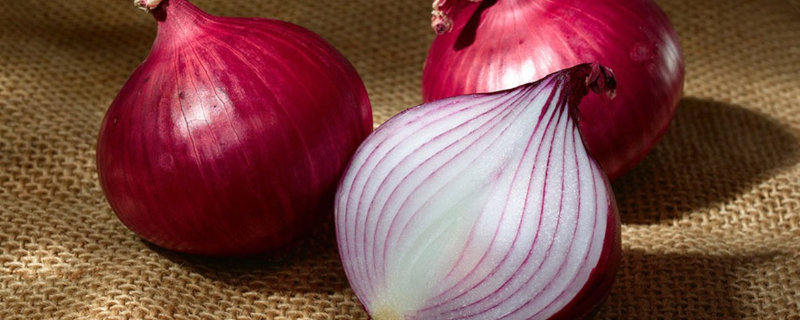 洋葱叶子倒伏是怎么回事 洋葱叶子倒伏是怎么回事啊