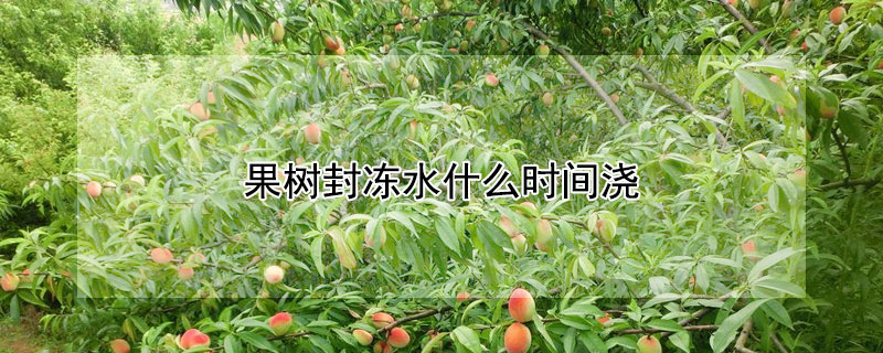 果树封冻水什么时间浇 果树封冻水什么时间浇水