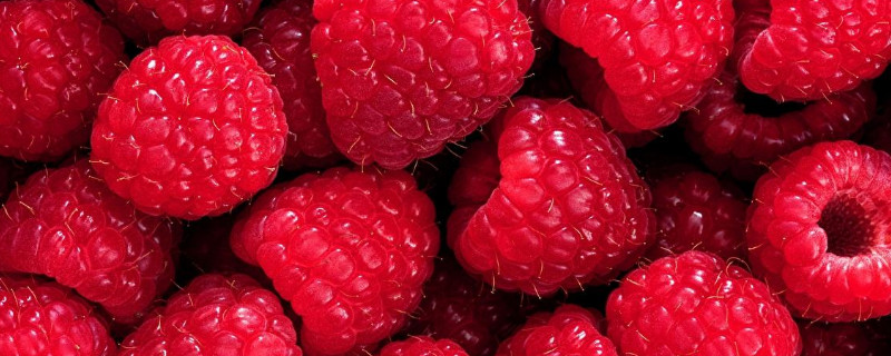 树莓和覆盆子怎么区分（覆盆子和树莓的区别）