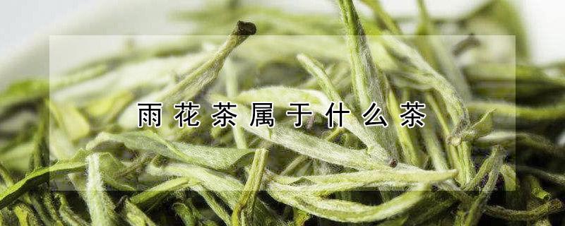 雨花茶属于什么茶（雨花茶百度百科）