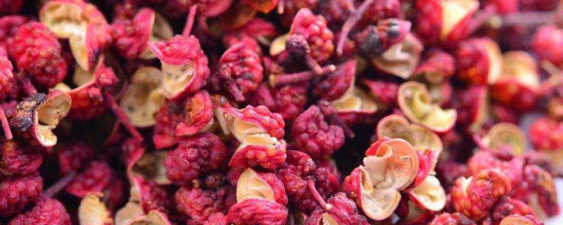 花椒一年可以摘几次（花椒一个月能摘吗）