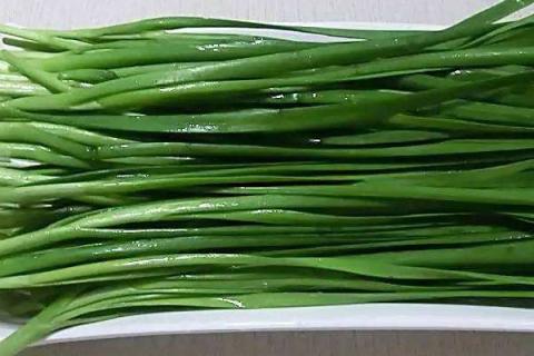 韭菜夏天可以种吗