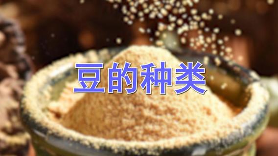 豆的种类有哪些 豆有哪几种