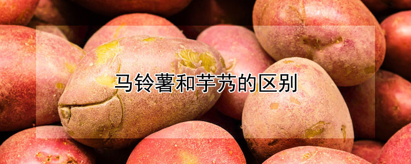 马铃薯和芋艿的区别 土豆和芋艿的区别