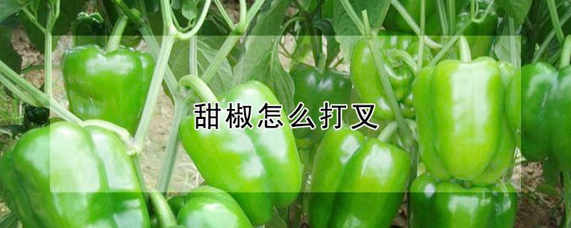 甜椒怎么打叉（甜椒怎么打叉子）