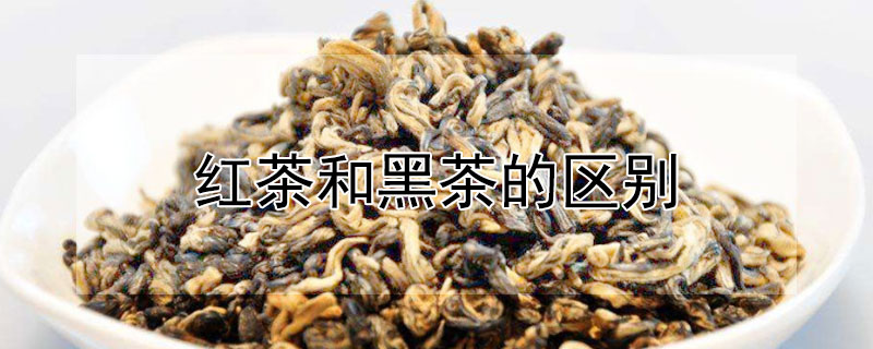 红茶和黑茶的区别（红茶和黑茶的区别功效与作用）
