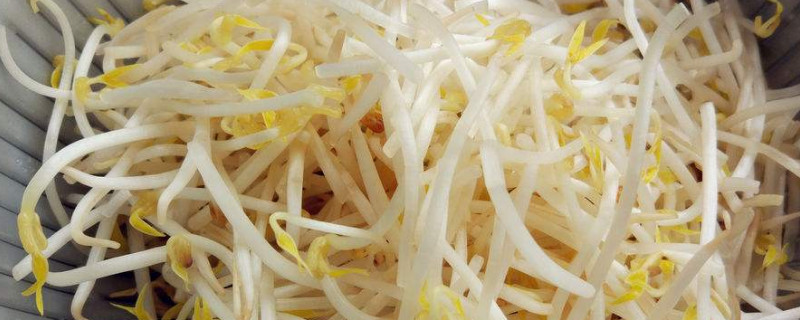 绿豆芽怎么生粗壮又白 绿豆芽怎么生粗壮又白不生根