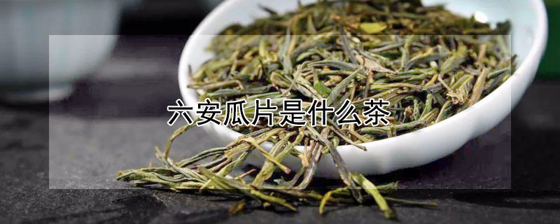 六安瓜片是什么茶（六安瓜片是什么茶类）