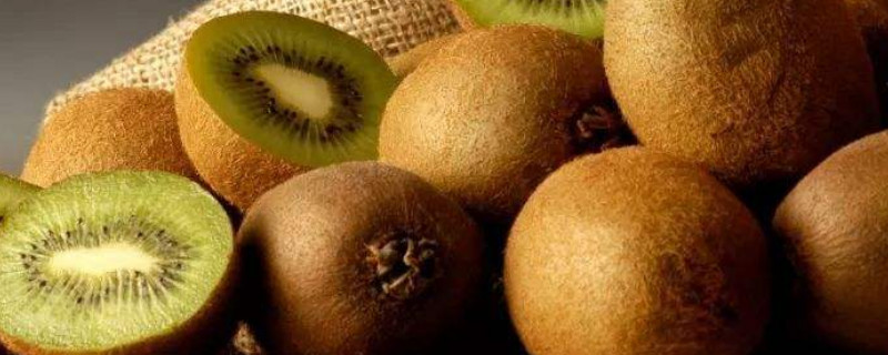 怎么催熟猕猴桃（没有水果怎么催熟猕猴桃）