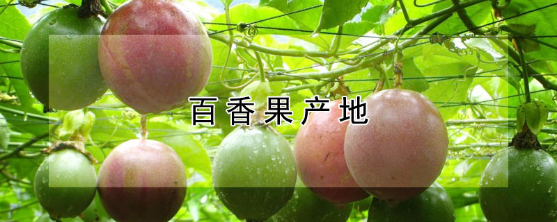 百香果产地 百香果产地主要在哪个省