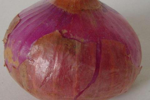 洋葱与圆葱的区别