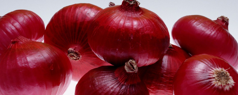 洋葱高产秘方（洋葱高产秘方大全）