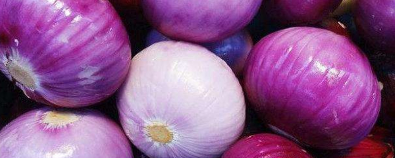 洋葱发软是什么原因（洋葱发软是什么原因引起的）