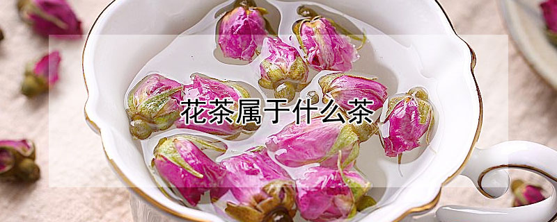 花茶属于什么茶（张一元茉莉花茶属于什么茶）