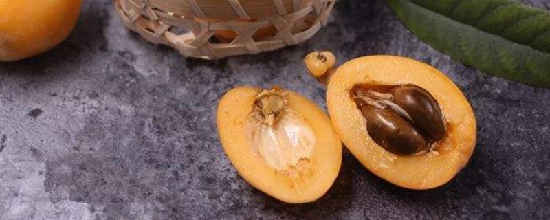 枇杷核种植会结果吗 用枇杷核种的能结果吗