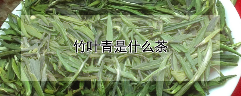 竹叶青是什么茶叶（竹叶青是什么茶叶?）