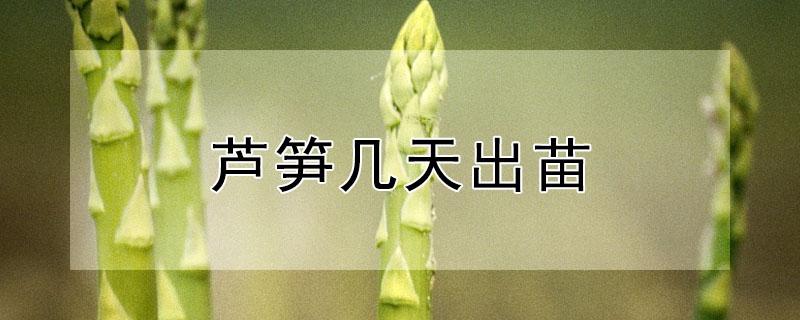 芦笋几天出苗 芦笋苗种下后多久出芽