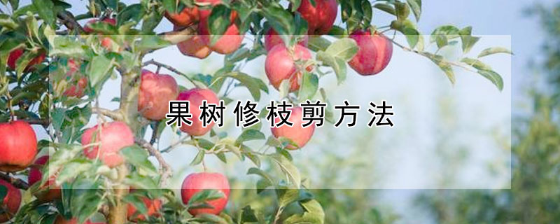 果树修枝剪方法（果树修剪怎样留枝）