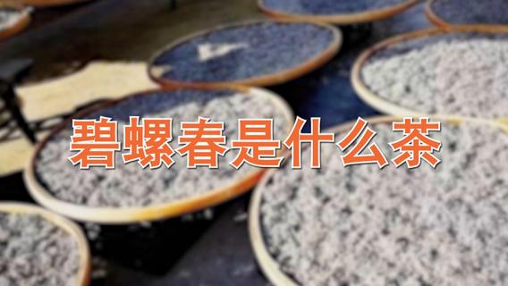 碧螺春是什么茶（碧螺春是什么茶是红茶还是绿茶）