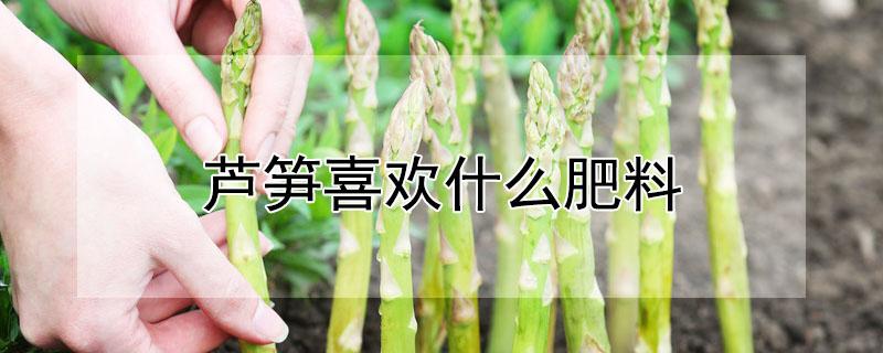 芦笋喜欢什么肥料 芦笋喜欢什么肥料施肥