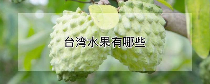 台湾水果有哪些（台创园的台湾水果有哪些）