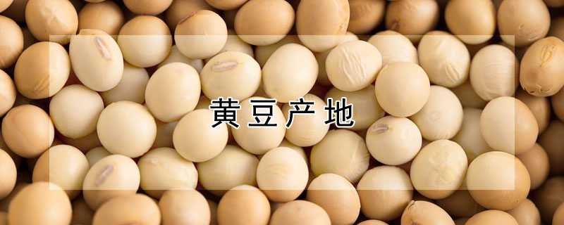 黄豆产地 黄豆产地主要在哪个省