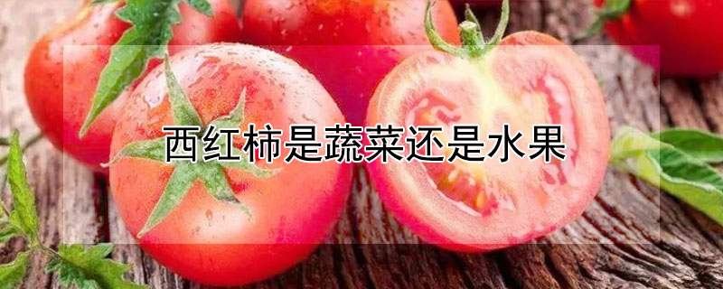西红柿是蔬菜还是水果（黄瓜西红柿是蔬菜还是水果）