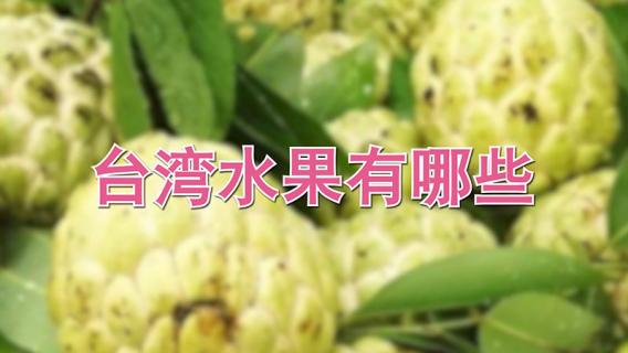 台湾水果有哪些 台湾都有啥水果